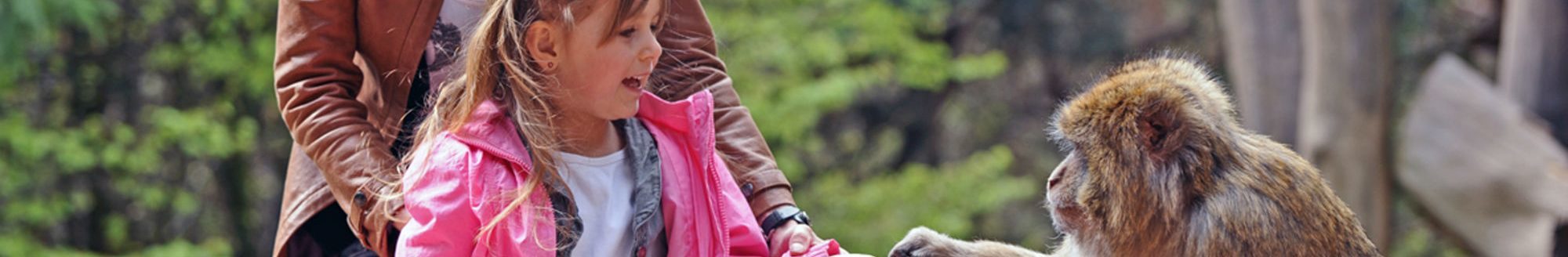Billets Pour La Montagne Des Singes Ticketeaser